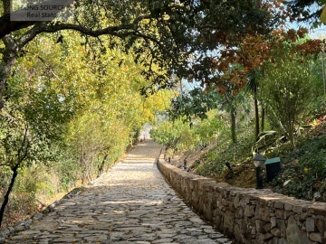 Quinta T5 para Venda em Carvalhal