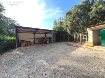 Quinta T5 para Venda em Carvalhal