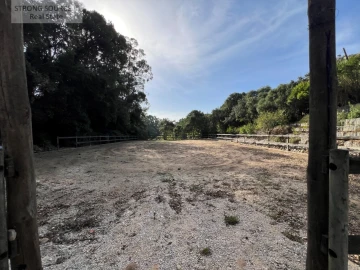 Quinta T5 para Venda em Carvalhal