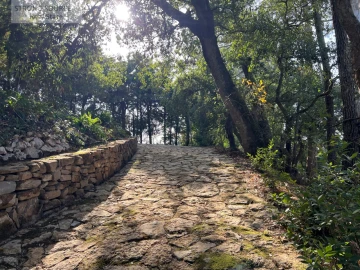 Quinta T5 para Venda em Carvalhal