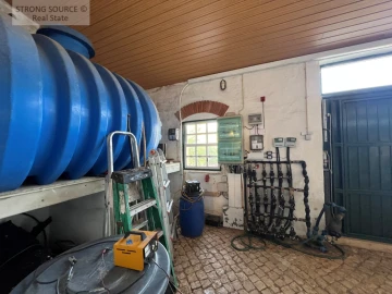 Quinta T5 para Venda em Carvalhal