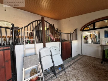 Quinta T5 para Venda em Carvalhal