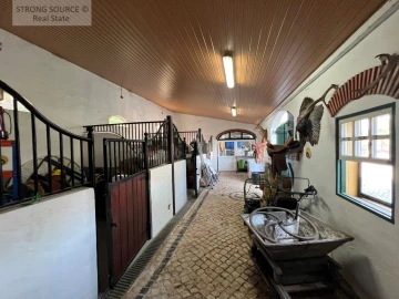 Quinta T5 para Venda em Carvalhal