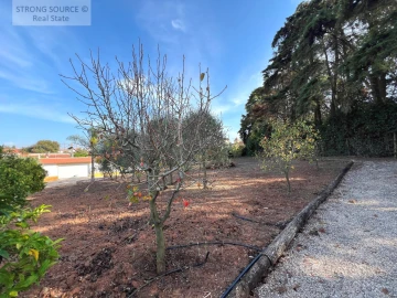 Quinta T5 para Venda em Carvalhal