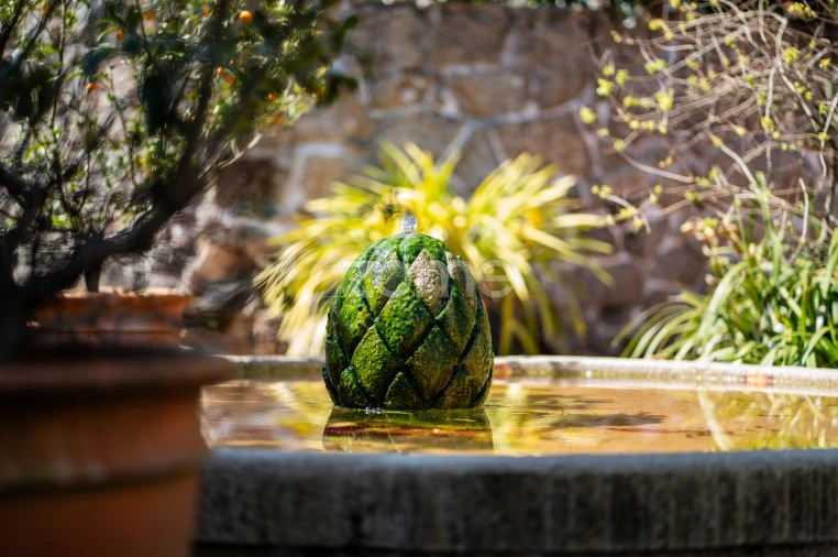 Moradia T5 para Venda em Palmeira de Faro e Curvos Foto 20