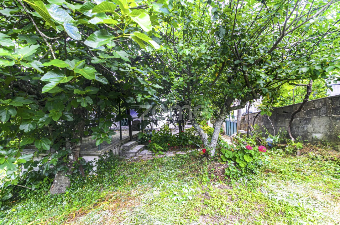 Moradia T3 para Venda em Cerva e Limões Foto 42