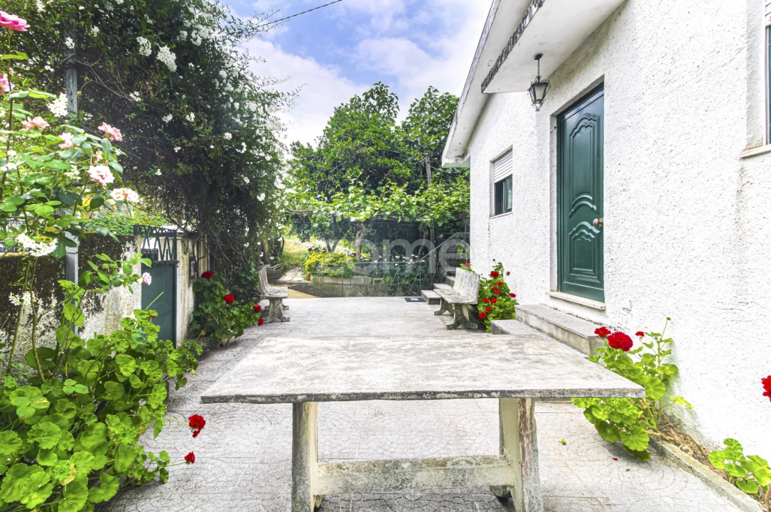 Moradia T3 para Venda em Cerva e Limões Foto 5