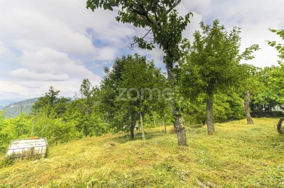 Moradia T3 para Venda em Cerva e Limões