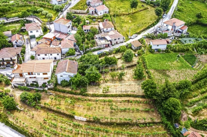 Moradia T3 para Venda em Cerva e Limões