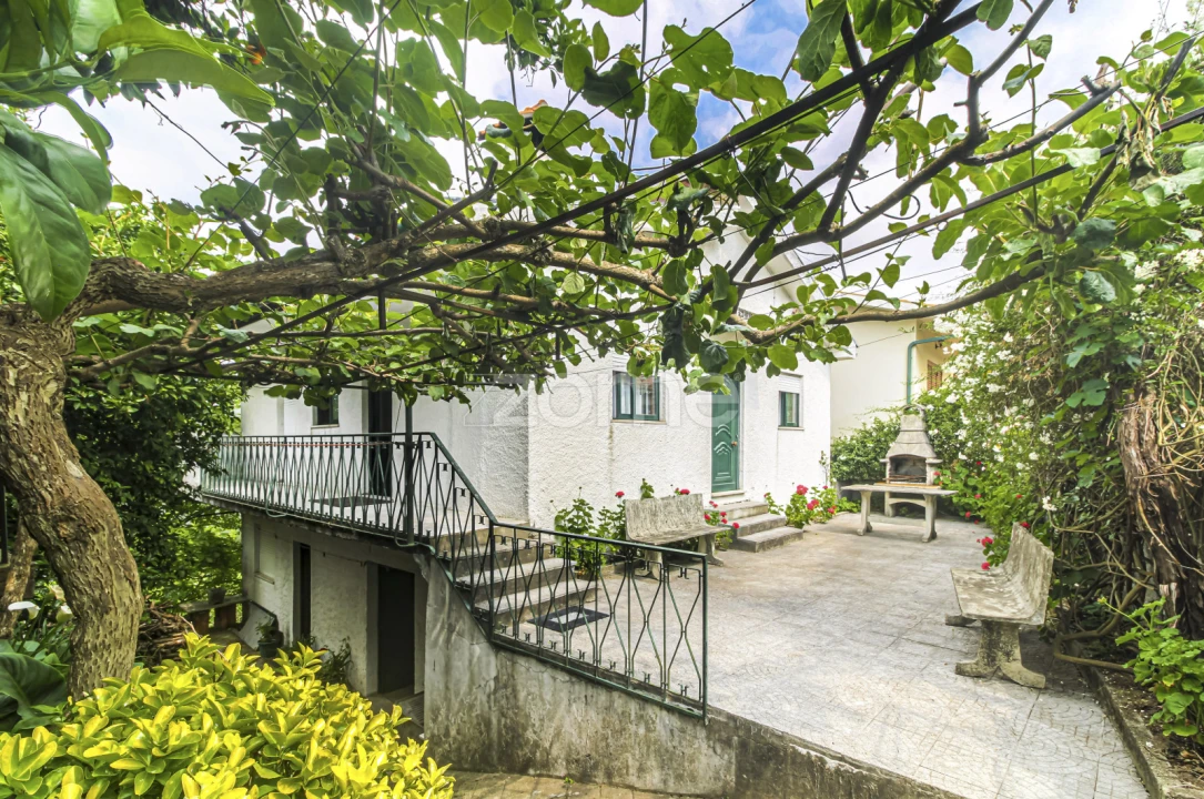 Moradia T3 para Venda em Cerva e Limões Foto 37