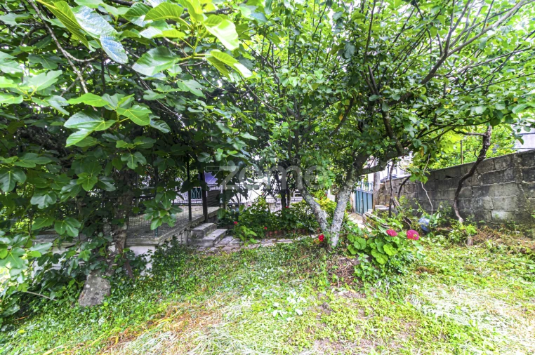 Moradia T3 para Venda em Cerva e Limões Foto 42