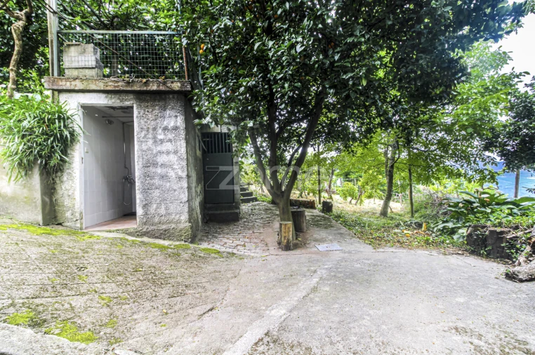 Moradia T3 para Venda em Cerva e Limões Foto 43