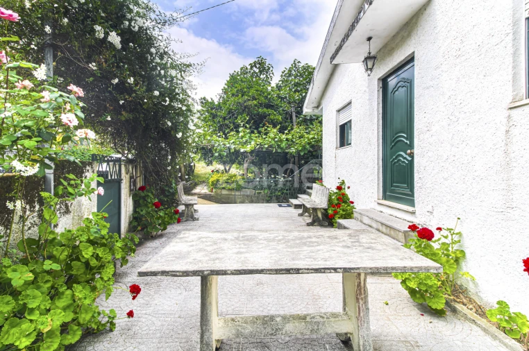 Moradia T3 para Venda em Cerva e Limões Foto 5