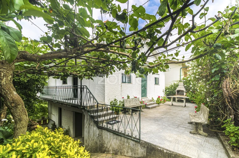 Moradia T3 para Venda em Cerva e Limões Foto 37