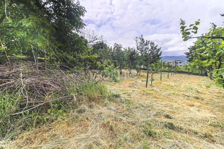 Moradia T3 para Venda em Cerva e Limões Foto 45