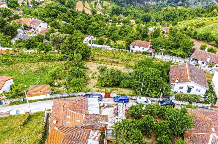 Moradia T3 para Venda em Cerva e Limões Foto 29