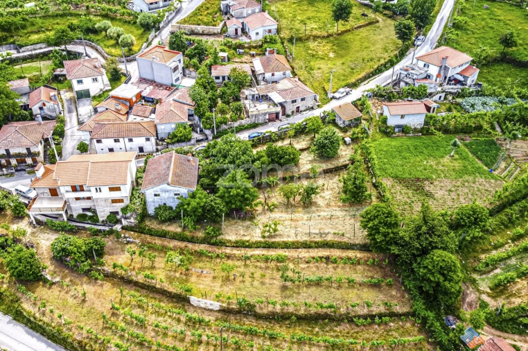 Moradia T3 para Venda em Cerva e Limões Foto 33