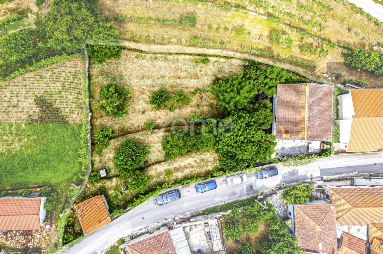 Moradia T3 para Venda em Cerva e Limões Foto 30