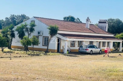 Terreno para Venda em Nossa Senhora da Vila, Nossa Senhora do Bispo e Silveiras