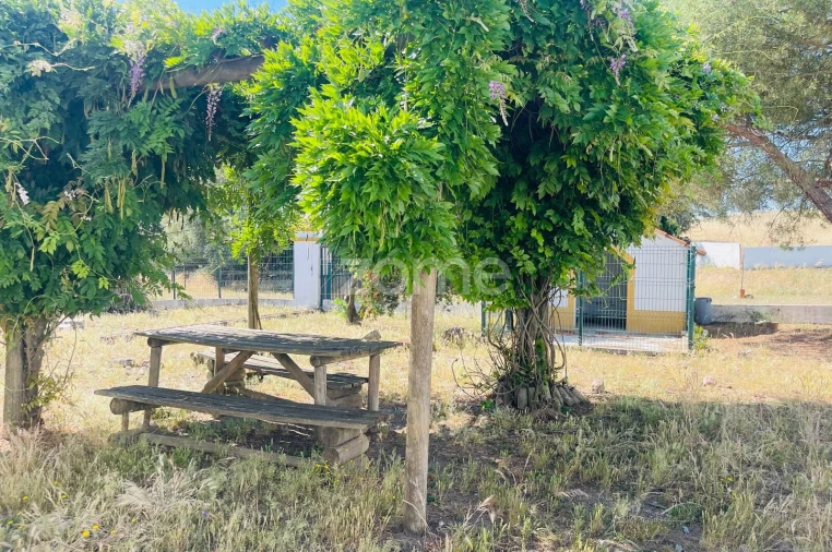 Terreno para Venda em Nossa Senhora da Vila, Nossa Senhora do Bispo e Silveiras Foto 6