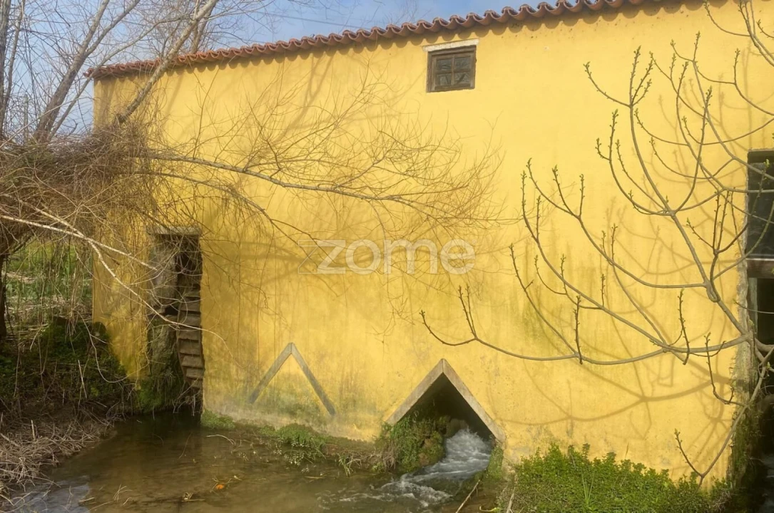 Negócio para Venda em Cantanhede e Pocariça Foto 3