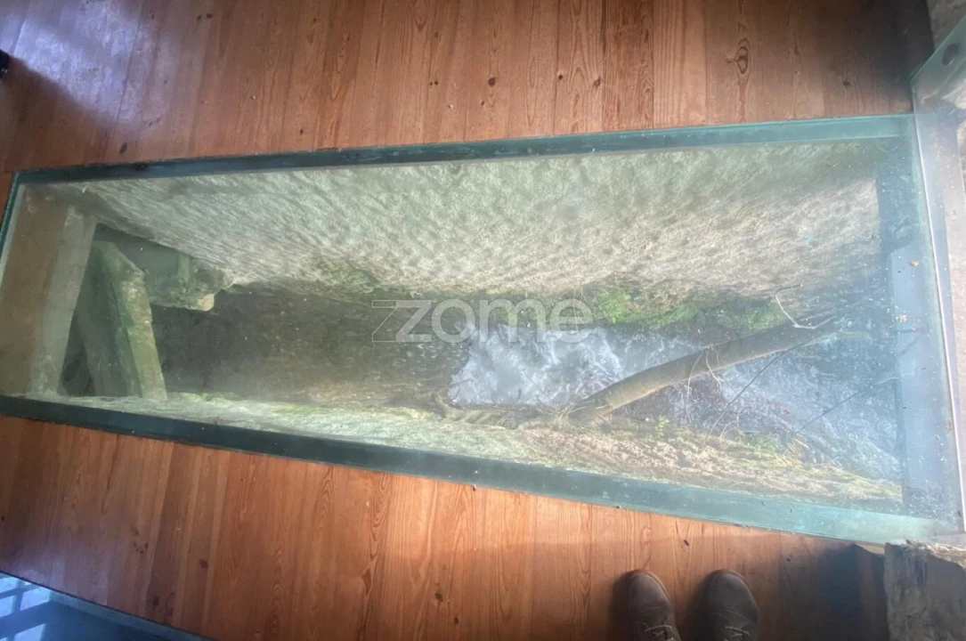 Negócio para Venda em Cantanhede e Pocariça Foto 23