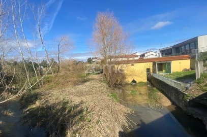 Negócio para Venda em Cantanhede e Pocariça