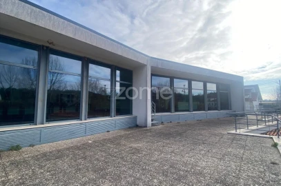 Negócio para Venda em Cantanhede e Pocariça