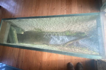 Negócio para Venda em Cantanhede e Pocariça