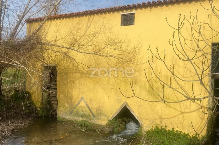 Negócio para Venda em Cantanhede e Pocariça Foto 3