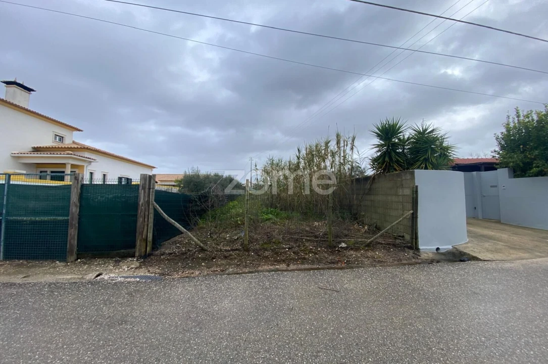 Terreno para Venda em Mealhada, Ventosa do Bairro e Antes Foto 5