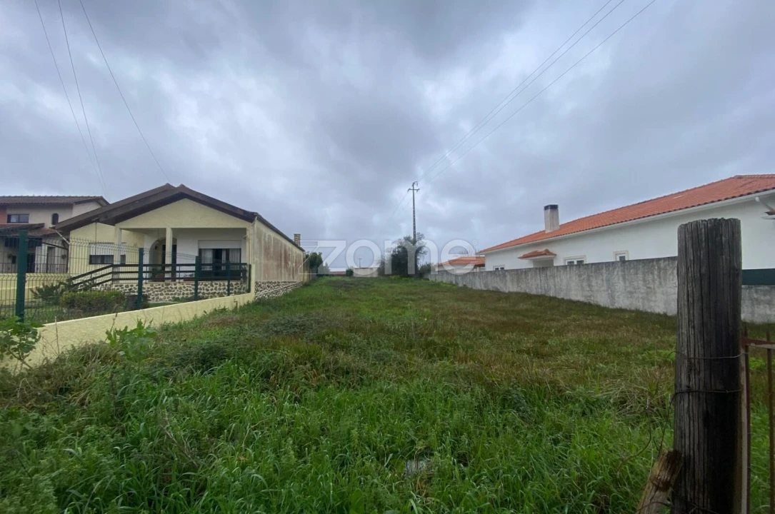 Terreno para Venda em Mealhada, Ventosa do Bairro e Antes Foto 19