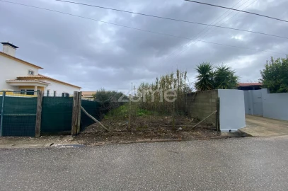 Terreno para Venda em Mealhada, Ventosa do Bairro e Antes