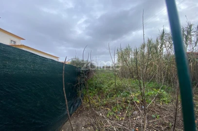 Terreno para Venda em Mealhada, Ventosa do Bairro e Antes