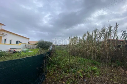 Terreno para Venda em Mealhada, Ventosa do Bairro e Antes