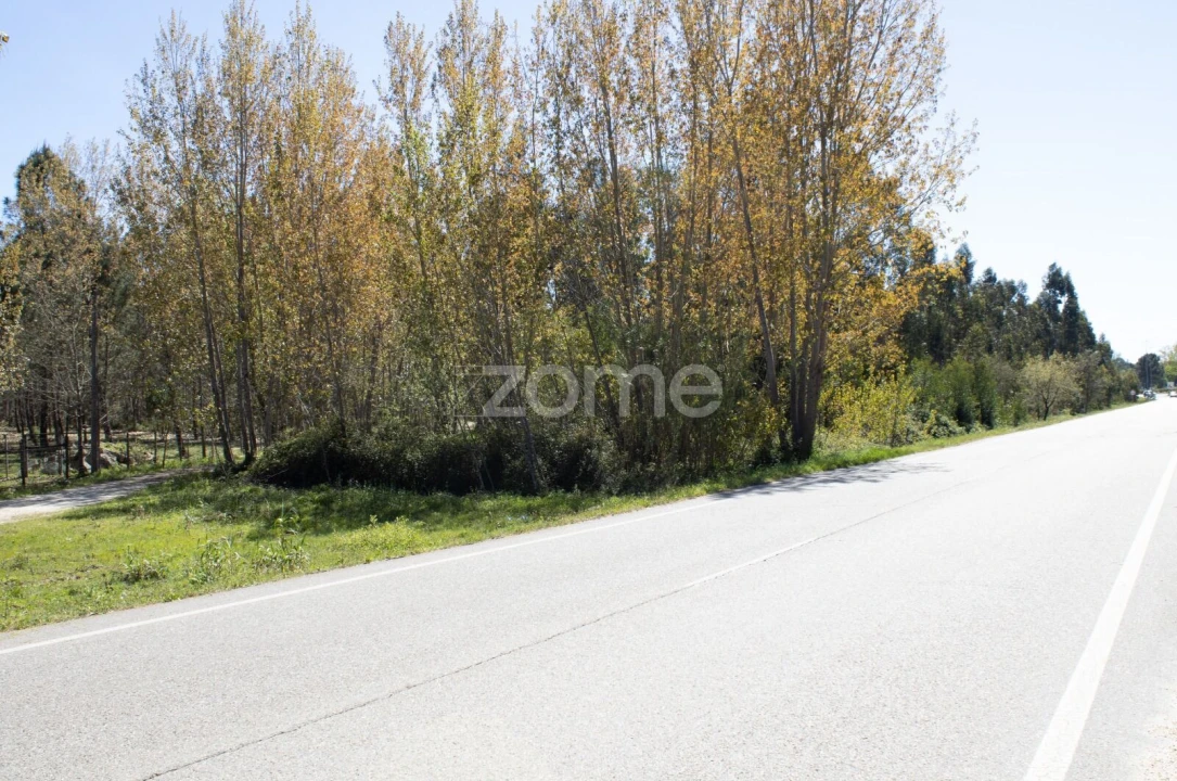Terreno para Venda em Cantanhede e Pocariça Foto 6