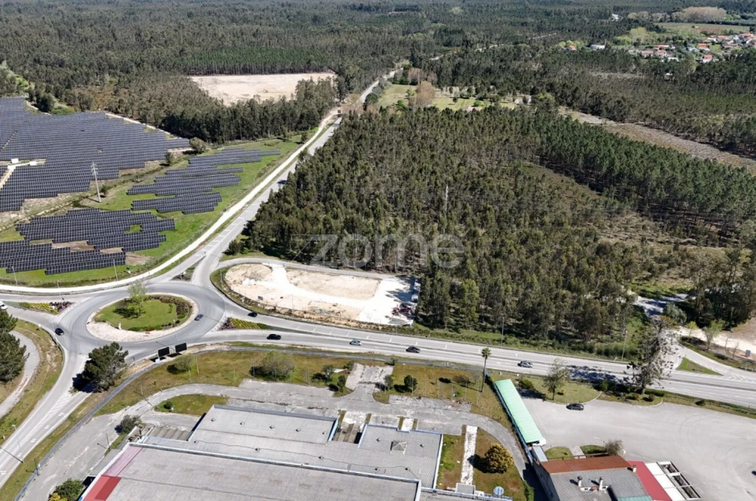 Terreno para Venda em Cantanhede e Pocariça Foto 8