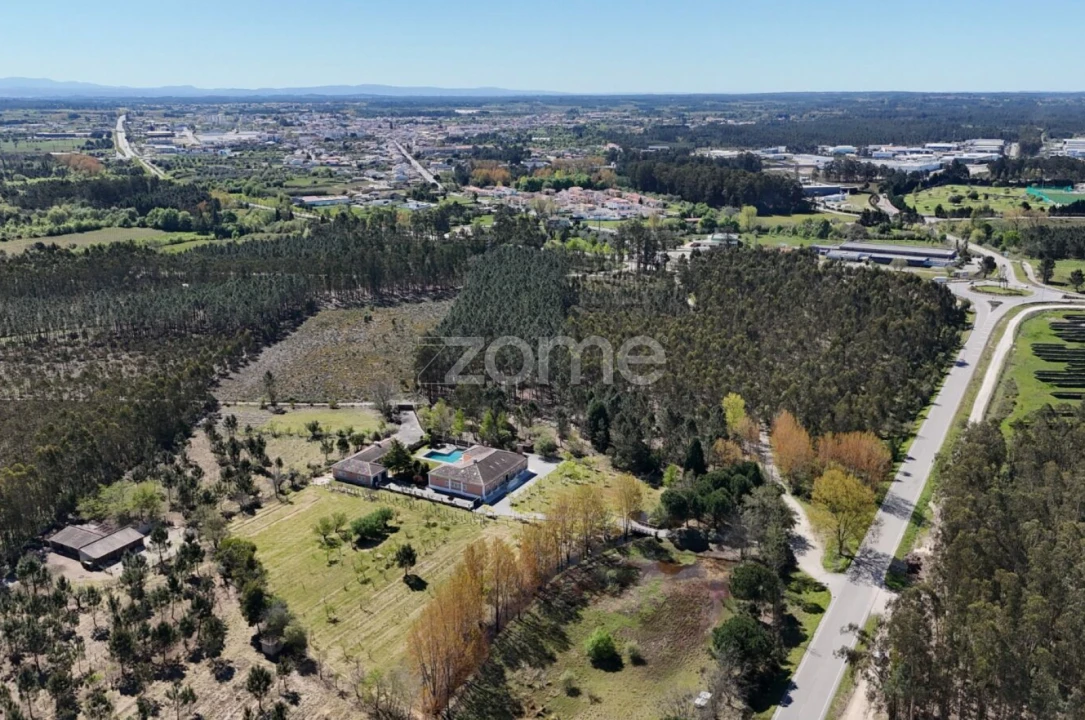 Terreno para Venda em Cantanhede e Pocariça Foto 9