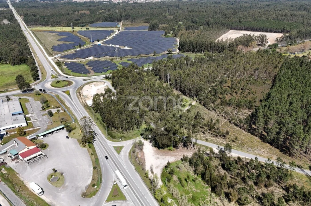 Terreno para Venda em Cantanhede e Pocariça Foto 10