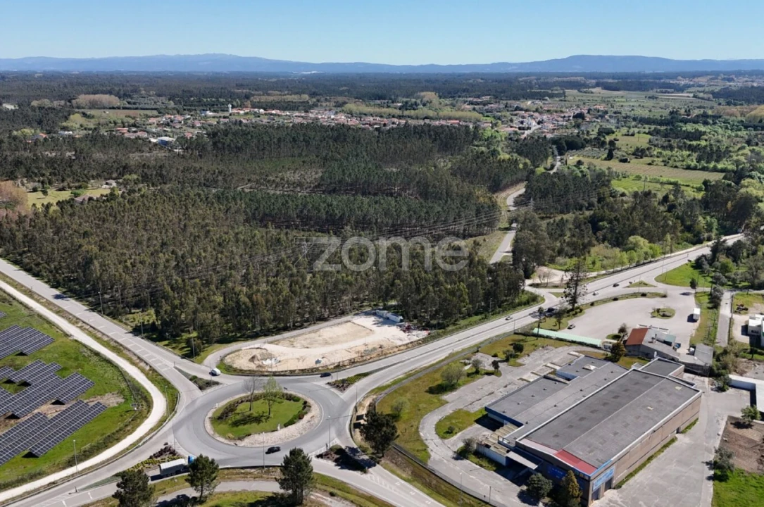 Terreno para Venda em Cantanhede e Pocariça Foto 12