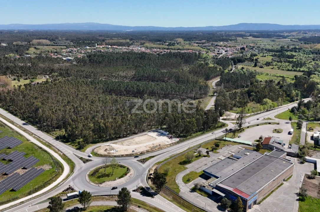 Terreno para Venda em Cantanhede e Pocariça Foto 13