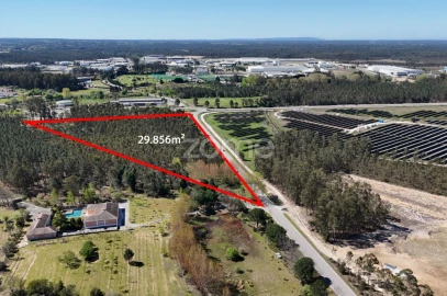 Terreno para Venda em Cantanhede e Pocariça