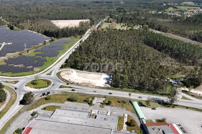 Terreno para Venda em Cantanhede e Pocariça