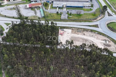 Terreno para Venda em Cantanhede e Pocariça
