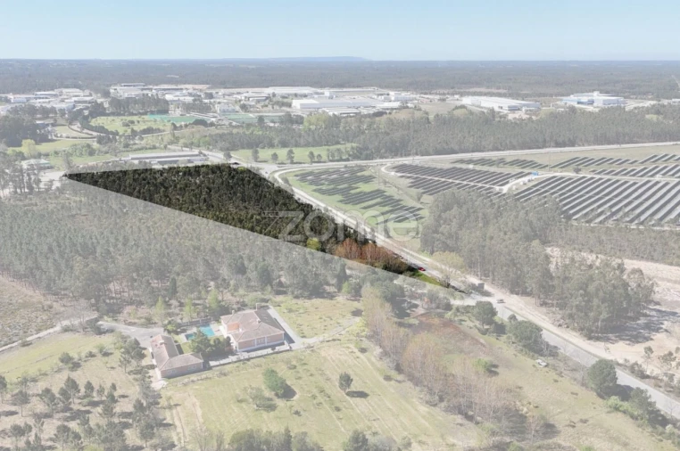 Terreno para Venda em Cantanhede e Pocariça Foto 2