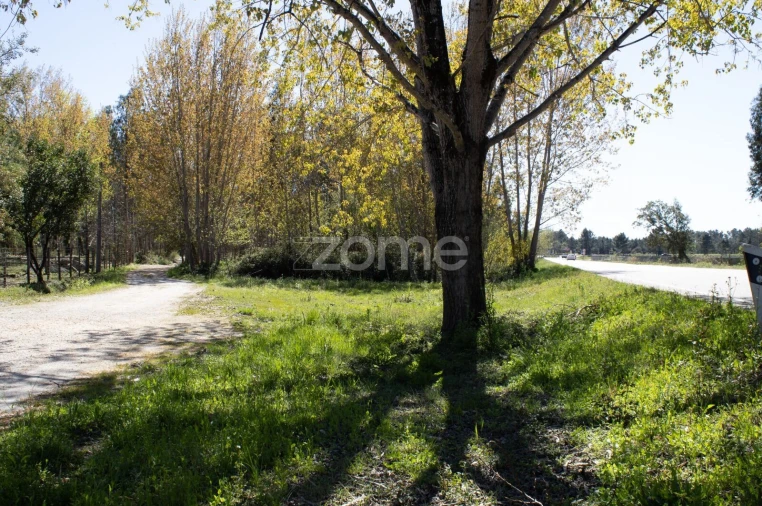 Terreno para Venda em Cantanhede e Pocariça Foto 7