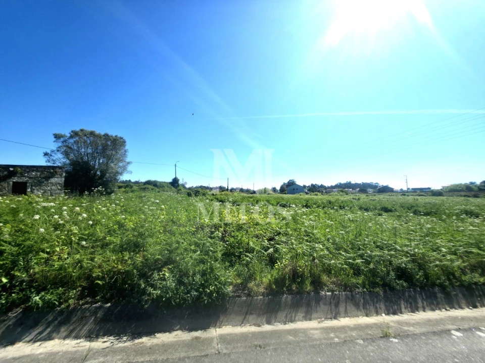 Terreno para Venda em Mazarefes e Vila Fria Foto 4