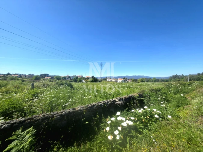 Terreno para Venda em Mazarefes e Vila Fria Foto 6