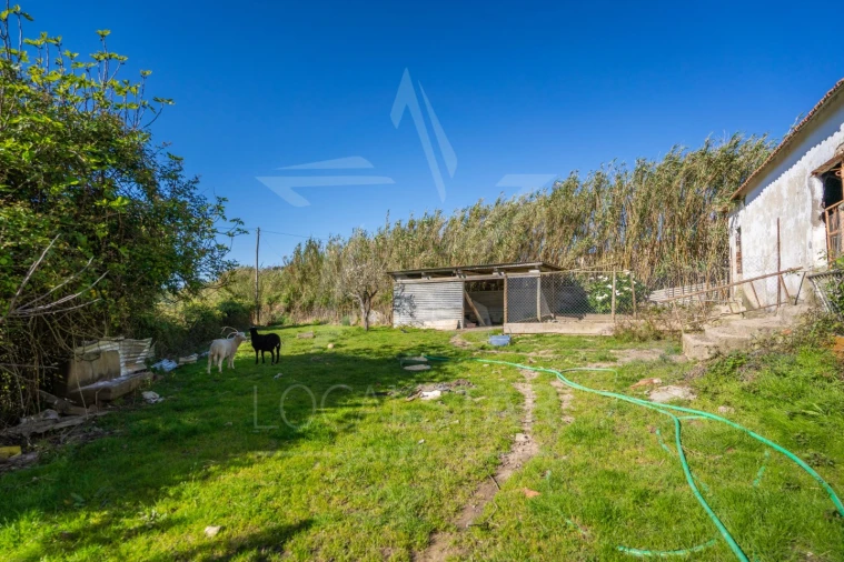 Moradia T4 para Venda em Alfeizerão Foto 43