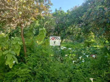 Moradia T2 para Venda em Tocha